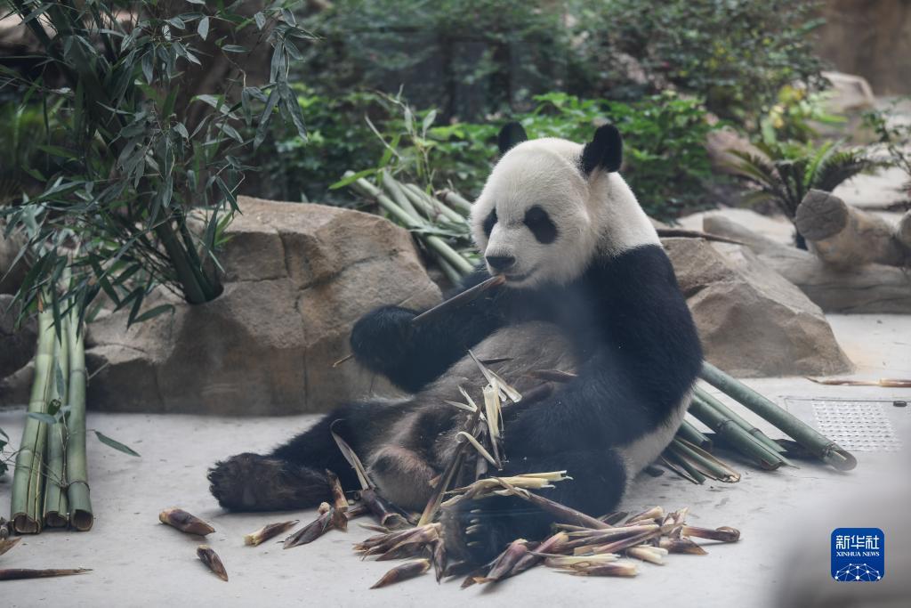 捕鱼账号交易